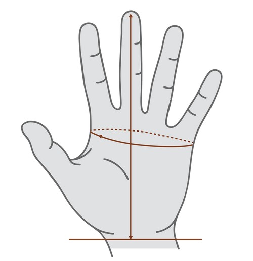 Fit Guide Image