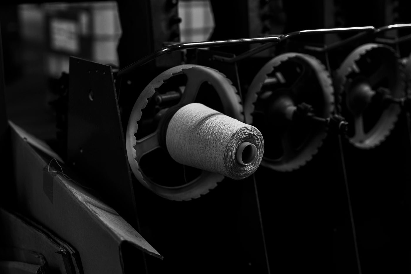 DSC02906-Enhanced-NR.jpg__PID:fd5e75e3-00aa-4a24-b942-cb8b660430eb